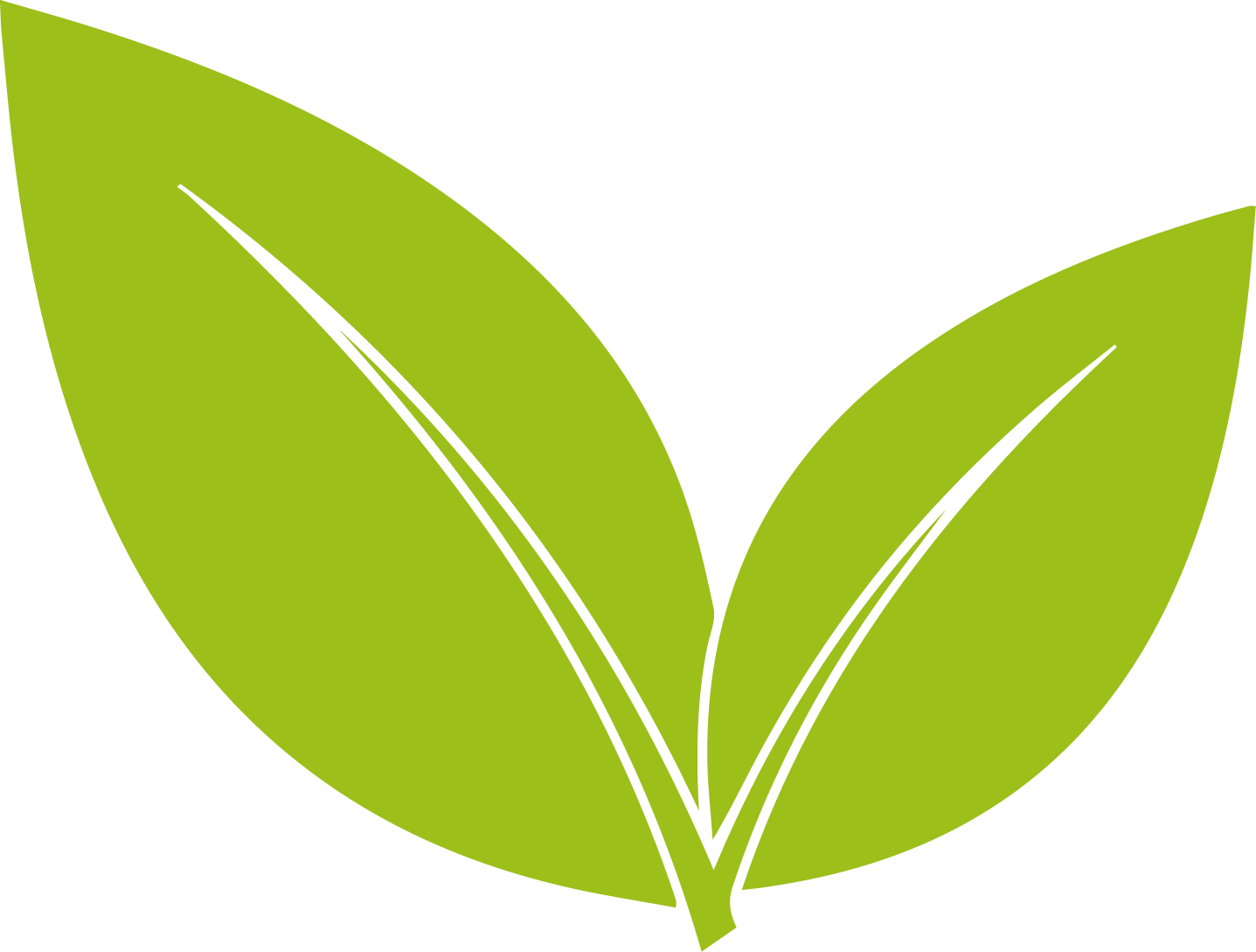 Home plant 01